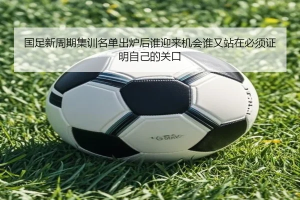 国足新周期集训名单出炉后谁迎来机会谁又站在必须证明自己的关口